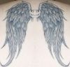 Angel wings picture tattoos image